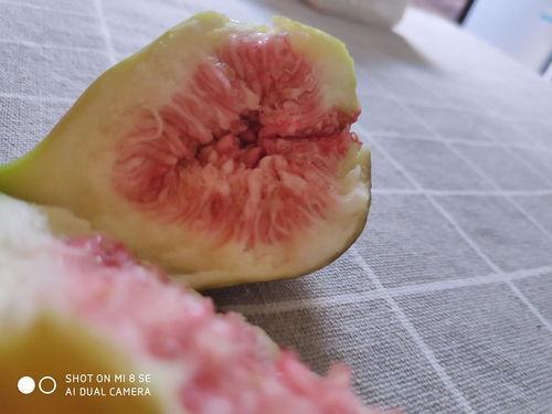 娱乐吃瓜酱密集恐惧症,娱乐吃瓜酱带你领略“密恐”世界