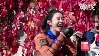 吃瓜娱乐圈奚梦瑶,娱乐圈的瓜田漫步