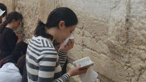 娱乐吃瓜君长什么样