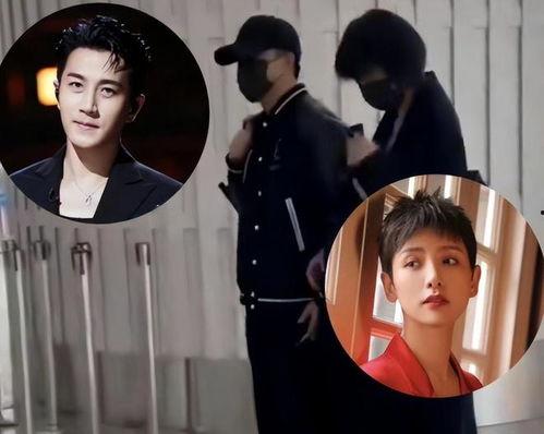 吃瓜系统娱乐圈一口气看完,一网打尽，尽享八卦盛宴