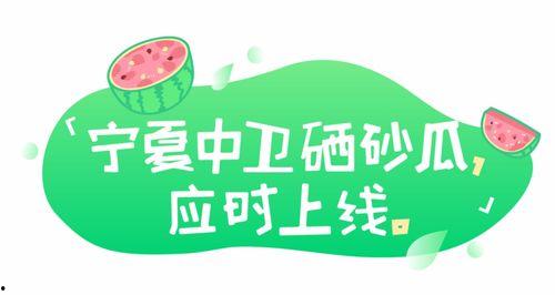 娱乐吃瓜文案去哪里找啊,热门平台攻略一览