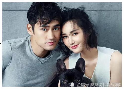 娱乐圈吃瓜爆料三字明星